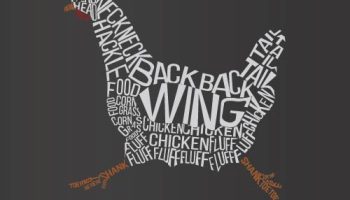 `"Image to typography" opgave